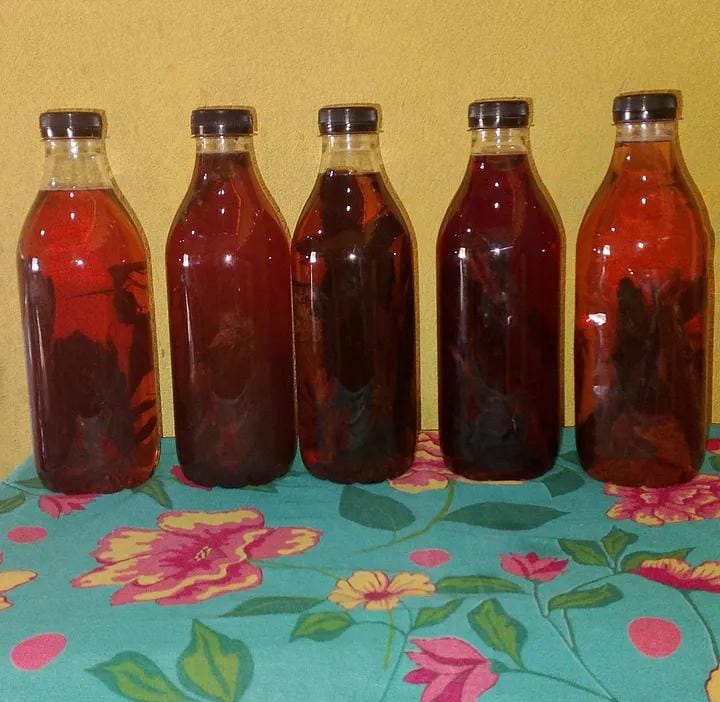 Linha de Garrafadas Medicinais